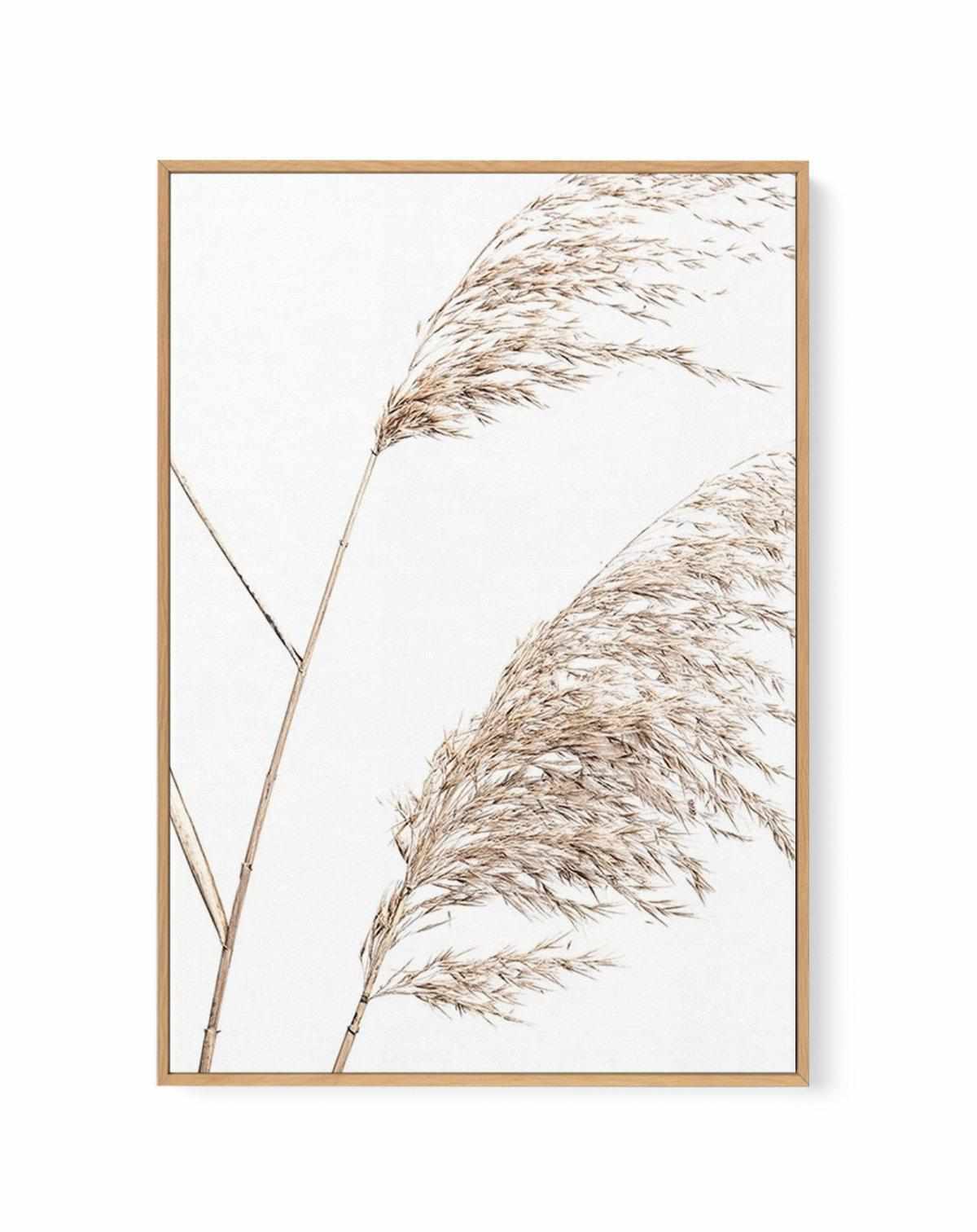 Sea Grass I | Framed Canvas Art Print