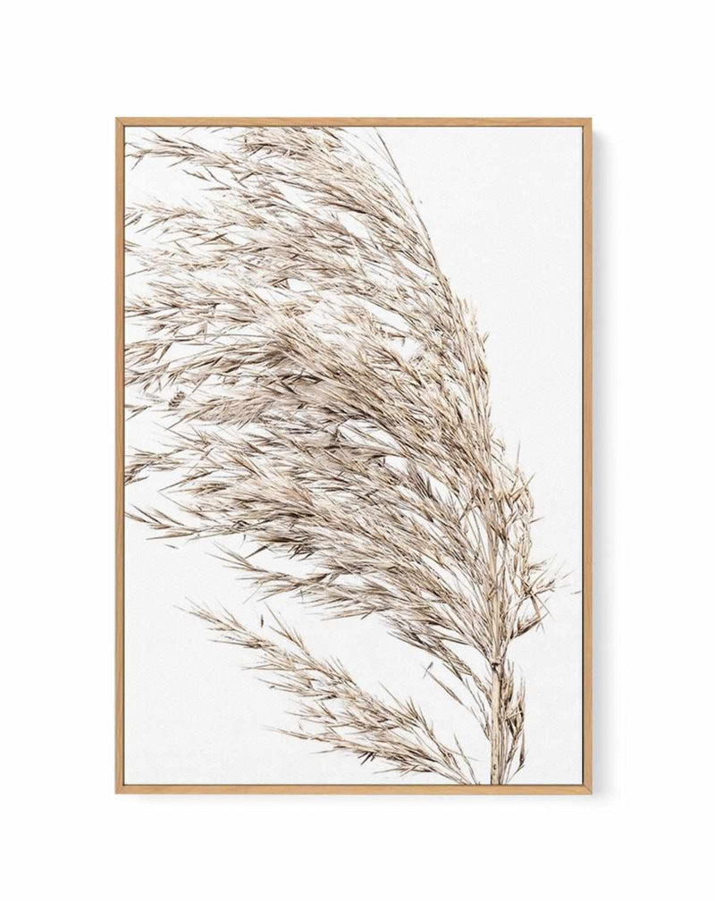 Sea Grass II | Framed Canvas Art Print