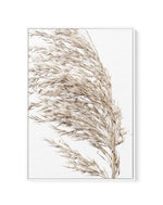 Sea Grass II | Framed Canvas-CANVAS-You can shop wall art online with Olive et Oriel for everything from abstract art to fun kids wall art. Our beautiful modern art prints and canvas art are available from large canvas prints to wall art paintings and our proudly Australian artwork collection offers only the highest quality framed large wall art and canvas art Australia - You can buy fashion photography prints or Hampton print posters and paintings on canvas from Olive et Oriel and have them del