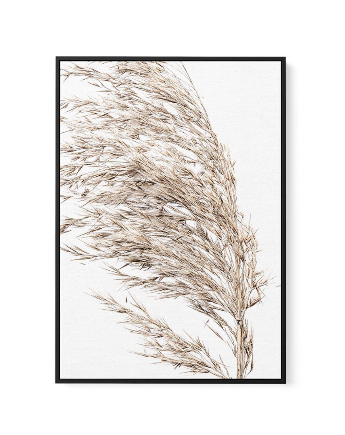 Sea Grass II | Framed Canvas-CANVAS-You can shop wall art online with Olive et Oriel for everything from abstract art to fun kids wall art. Our beautiful modern art prints and canvas art are available from large canvas prints to wall art paintings and our proudly Australian artwork collection offers only the highest quality framed large wall art and canvas art Australia - You can buy fashion photography prints or Hampton print posters and paintings on canvas from Olive et Oriel and have them del