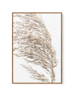 Sea Grass II | Framed Canvas-CANVAS-You can shop wall art online with Olive et Oriel for everything from abstract art to fun kids wall art. Our beautiful modern art prints and canvas art are available from large canvas prints to wall art paintings and our proudly Australian artwork collection offers only the highest quality framed large wall art and canvas art Australia - You can buy fashion photography prints or Hampton print posters and paintings on canvas from Olive et Oriel and have them del