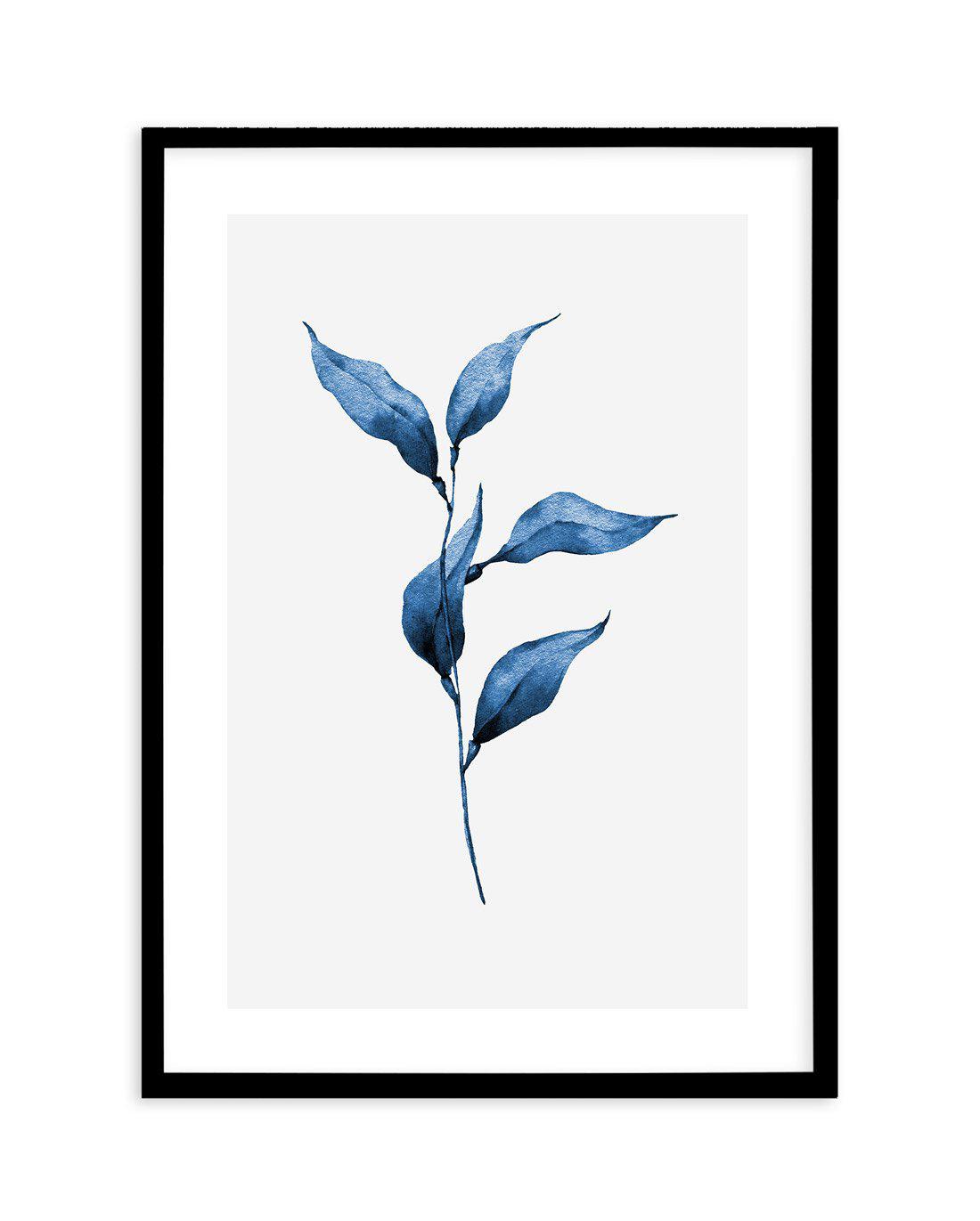 Sea Kelp I Art Print-PRINT-Olive et Oriel-Olive et Oriel-A5 | 5.8" x 8.3" | 14.8 x 21cm-Black-With White Border-Buy-Australian-Art-Prints-Online-with-Olive-et-Oriel-Your-Artwork-Specialists-Austrailia-Decorate-With-Coastal-Photo-Wall-Art-Prints-From-Our-Beach-House-Artwork-Collection-Fine-Poster-and-Framed-Artwork