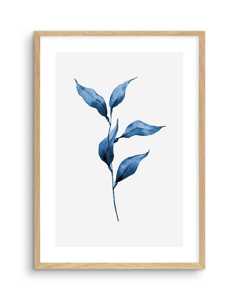 Sea Kelp I Art Print-PRINT-Olive et Oriel-Olive et Oriel-A5 | 5.8" x 8.3" | 14.8 x 21cm-Oak-With White Border-Buy-Australian-Art-Prints-Online-with-Olive-et-Oriel-Your-Artwork-Specialists-Austrailia-Decorate-With-Coastal-Photo-Wall-Art-Prints-From-Our-Beach-House-Artwork-Collection-Fine-Poster-and-Framed-Artwork