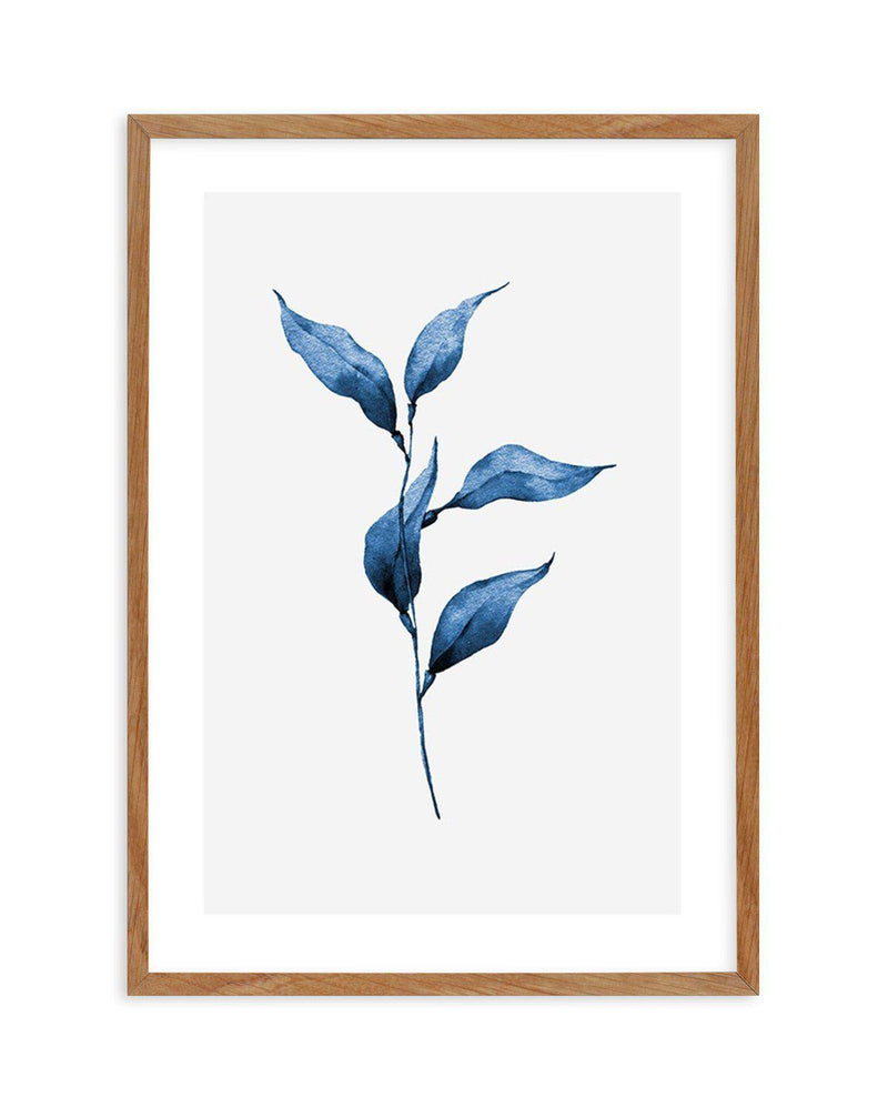 Sea Kelp I Art Print-PRINT-Olive et Oriel-Olive et Oriel-50x70 cm | 19.6" x 27.5"-Walnut-With White Border-Buy-Australian-Art-Prints-Online-with-Olive-et-Oriel-Your-Artwork-Specialists-Austrailia-Decorate-With-Coastal-Photo-Wall-Art-Prints-From-Our-Beach-House-Artwork-Collection-Fine-Poster-and-Framed-Artwork