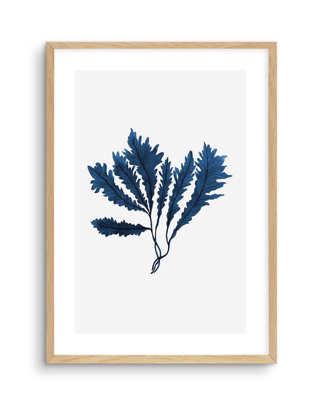 Sea Kelp II Art Print-PRINT-Olive et Oriel-Olive et Oriel-A5 | 5.8" x 8.3" | 14.8 x 21cm-Oak-With White Border-Buy-Australian-Art-Prints-Online-with-Olive-et-Oriel-Your-Artwork-Specialists-Austrailia-Decorate-With-Coastal-Photo-Wall-Art-Prints-From-Our-Beach-House-Artwork-Collection-Fine-Poster-and-Framed-Artwork