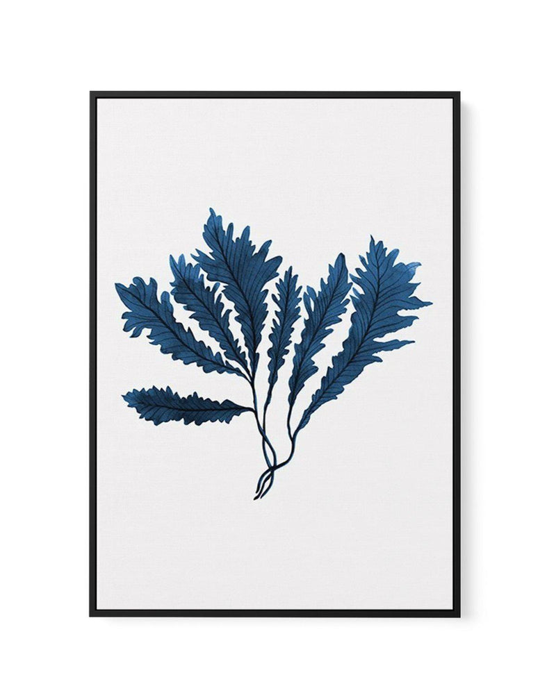 Sea Kelp II | Framed Canvas-CANVAS-You can shop wall art online with Olive et Oriel for everything from abstract art to fun kids wall art. Our beautiful modern art prints and canvas art are available from large canvas prints to wall art paintings and our proudly Australian artwork collection offers only the highest quality framed large wall art and canvas art Australia - You can buy fashion photography prints or Hampton print posters and paintings on canvas from Olive et Oriel and have them deli