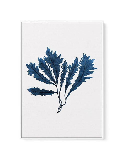 Sea Kelp II | Framed Canvas-CANVAS-You can shop wall art online with Olive et Oriel for everything from abstract art to fun kids wall art. Our beautiful modern art prints and canvas art are available from large canvas prints to wall art paintings and our proudly Australian artwork collection offers only the highest quality framed large wall art and canvas art Australia - You can buy fashion photography prints or Hampton print posters and paintings on canvas from Olive et Oriel and have them deli