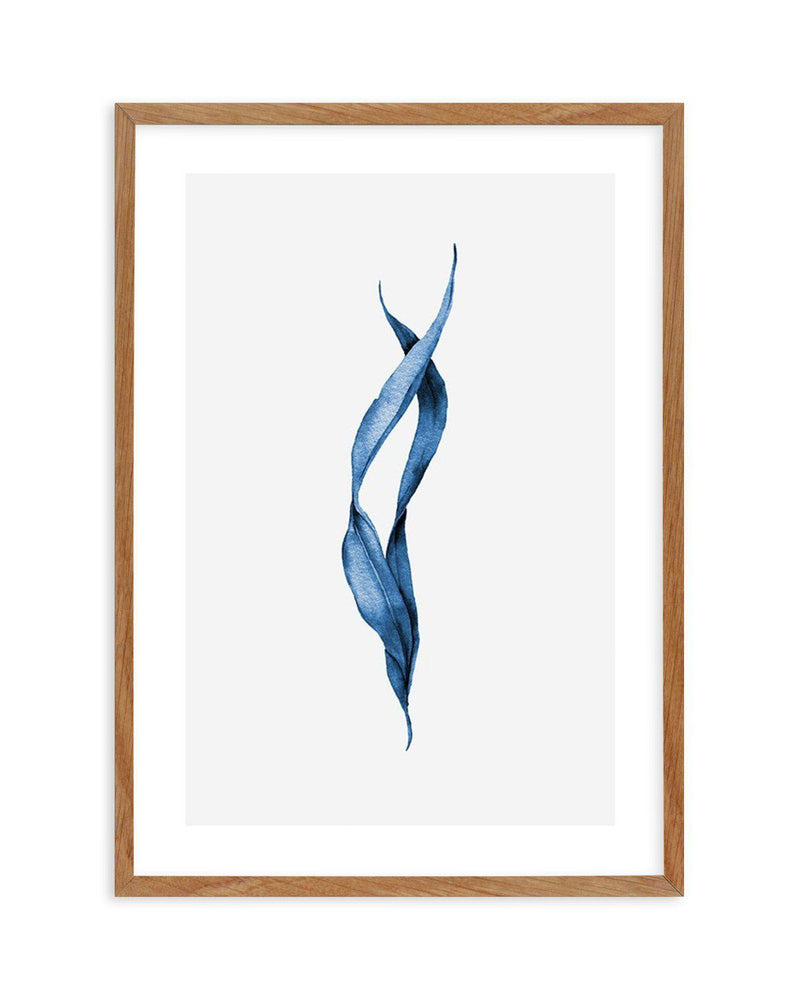 Sea Kelp III Art Print-PRINT-Olive et Oriel-Olive et Oriel-50x70 cm | 19.6" x 27.5"-Walnut-With White Border-Buy-Australian-Art-Prints-Online-with-Olive-et-Oriel-Your-Artwork-Specialists-Austrailia-Decorate-With-Coastal-Photo-Wall-Art-Prints-From-Our-Beach-House-Artwork-Collection-Fine-Poster-and-Framed-Artwork