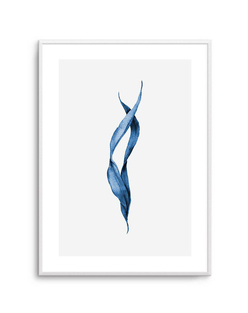 Sea Kelp III Art Print-PRINT-Olive et Oriel-Olive et Oriel-A5 | 5.8" x 8.3" | 14.8 x 21cm-Unframed Art Print-With White Border-Buy-Australian-Art-Prints-Online-with-Olive-et-Oriel-Your-Artwork-Specialists-Austrailia-Decorate-With-Coastal-Photo-Wall-Art-Prints-From-Our-Beach-House-Artwork-Collection-Fine-Poster-and-Framed-Artwork
