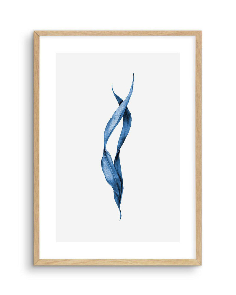 Sea Kelp III Art Print-PRINT-Olive et Oriel-Olive et Oriel-A5 | 5.8" x 8.3" | 14.8 x 21cm-Oak-With White Border-Buy-Australian-Art-Prints-Online-with-Olive-et-Oriel-Your-Artwork-Specialists-Austrailia-Decorate-With-Coastal-Photo-Wall-Art-Prints-From-Our-Beach-House-Artwork-Collection-Fine-Poster-and-Framed-Artwork
