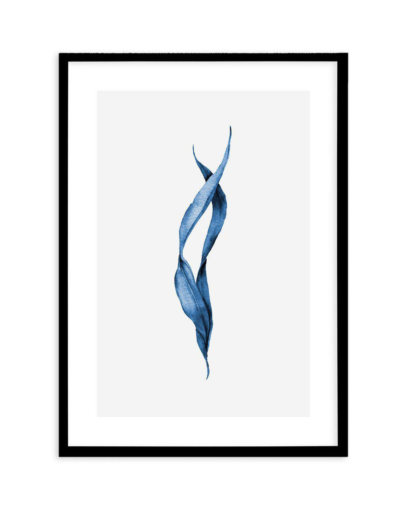 Sea Kelp III Art Print-PRINT-Olive et Oriel-Olive et Oriel-A5 | 5.8" x 8.3" | 14.8 x 21cm-Black-With White Border-Buy-Australian-Art-Prints-Online-with-Olive-et-Oriel-Your-Artwork-Specialists-Austrailia-Decorate-With-Coastal-Photo-Wall-Art-Prints-From-Our-Beach-House-Artwork-Collection-Fine-Poster-and-Framed-Artwork