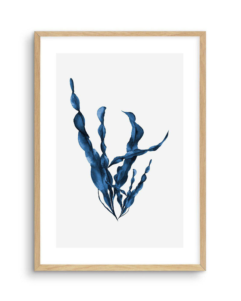Sea Kelp IV Art Print-PRINT-Olive et Oriel-Olive et Oriel-A5 | 5.8" x 8.3" | 14.8 x 21cm-Oak-With White Border-Buy-Australian-Art-Prints-Online-with-Olive-et-Oriel-Your-Artwork-Specialists-Austrailia-Decorate-With-Coastal-Photo-Wall-Art-Prints-From-Our-Beach-House-Artwork-Collection-Fine-Poster-and-Framed-Artwork