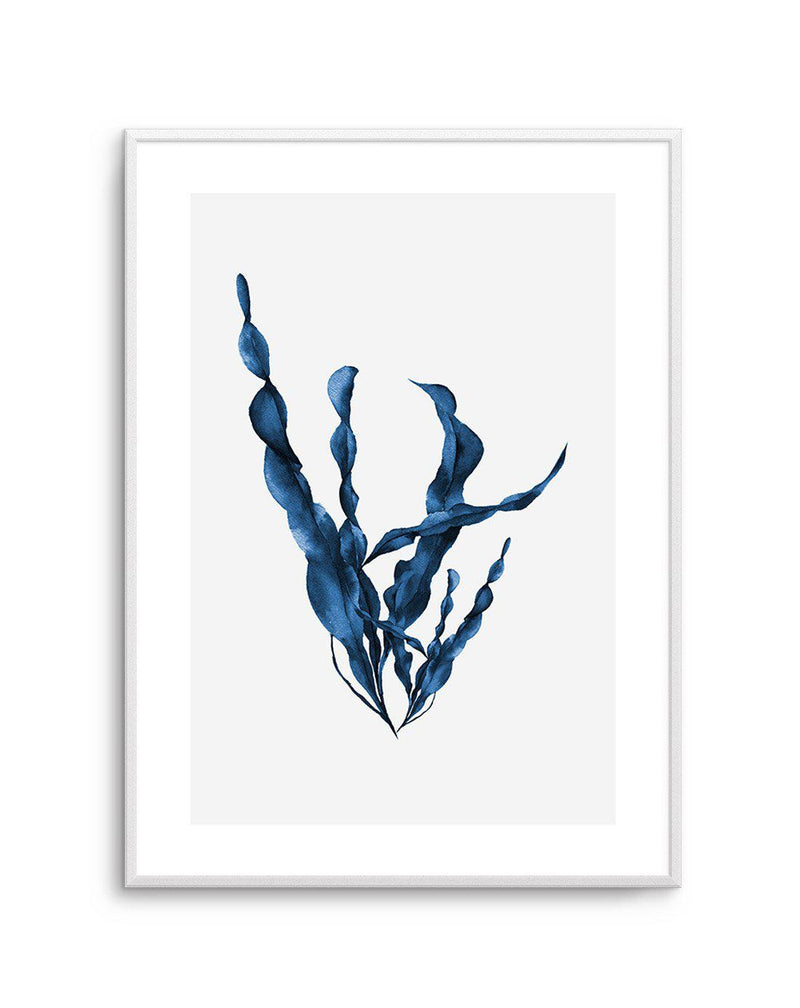 Sea Kelp IV Art Print-PRINT-Olive et Oriel-Olive et Oriel-A5 | 5.8" x 8.3" | 14.8 x 21cm-Unframed Art Print-With White Border-Buy-Australian-Art-Prints-Online-with-Olive-et-Oriel-Your-Artwork-Specialists-Austrailia-Decorate-With-Coastal-Photo-Wall-Art-Prints-From-Our-Beach-House-Artwork-Collection-Fine-Poster-and-Framed-Artwork