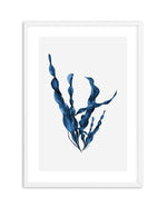 Sea Kelp IV Art Print-PRINT-Olive et Oriel-Olive et Oriel-A5 | 5.8" x 8.3" | 14.8 x 21cm-White-With White Border-Buy-Australian-Art-Prints-Online-with-Olive-et-Oriel-Your-Artwork-Specialists-Austrailia-Decorate-With-Coastal-Photo-Wall-Art-Prints-From-Our-Beach-House-Artwork-Collection-Fine-Poster-and-Framed-Artwork
