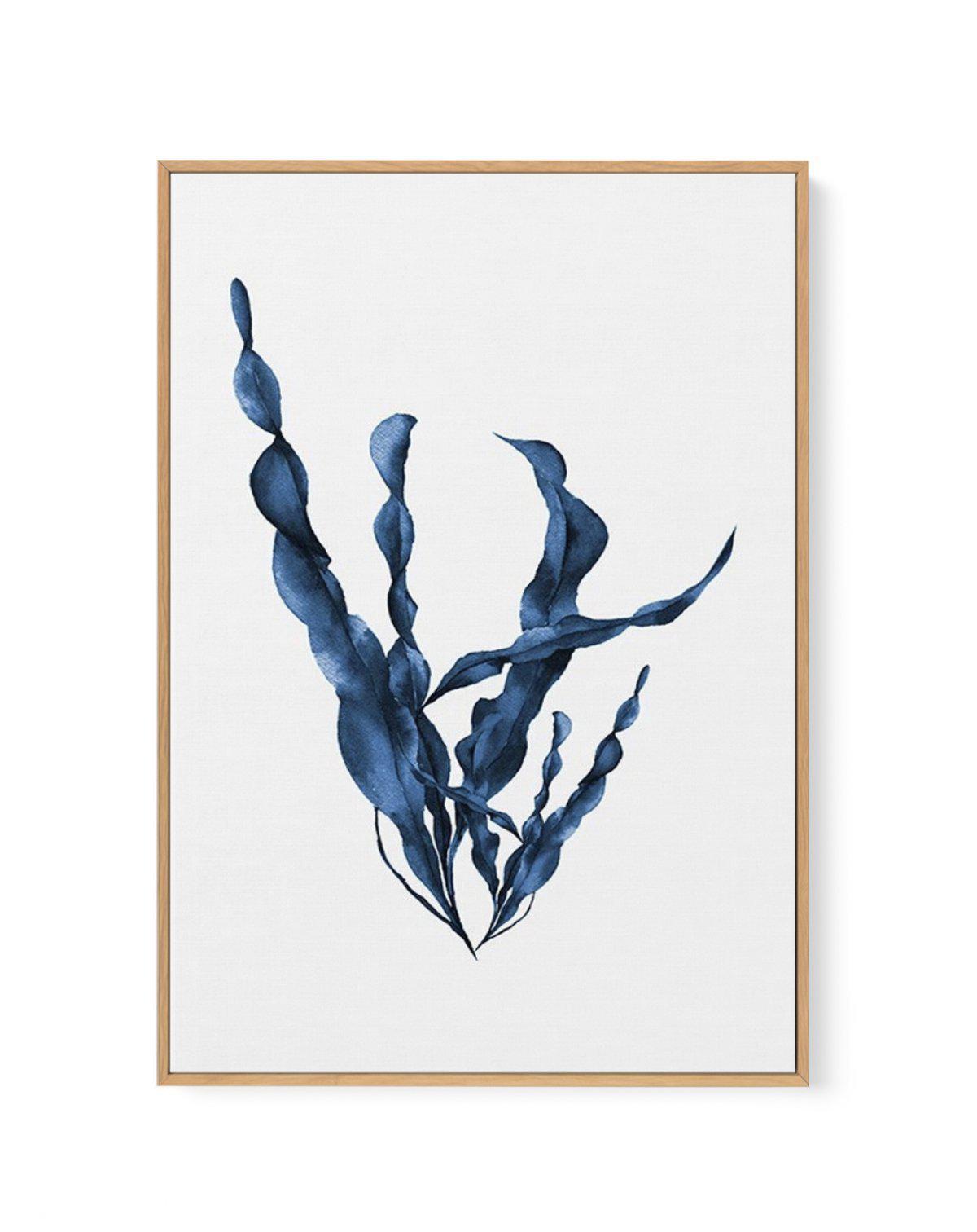 Sea Kelp IV | Framed Canvas-CANVAS-You can shop wall art online with Olive et Oriel for everything from abstract art to fun kids wall art. Our beautiful modern art prints and canvas art are available from large canvas prints to wall art paintings and our proudly Australian artwork collection offers only the highest quality framed large wall art and canvas art Australia - You can buy fashion photography prints or Hampton print posters and paintings on canvas from Olive et Oriel and have them deli