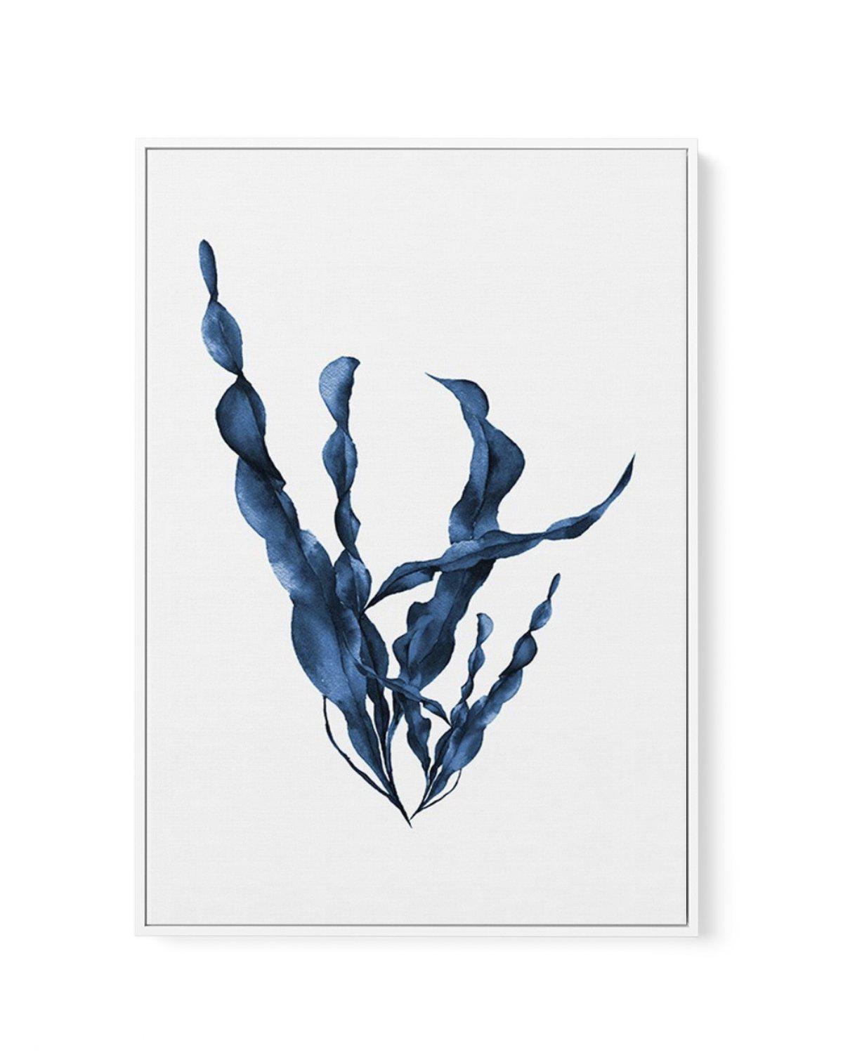 Sea Kelp IV | Framed Canvas-CANVAS-You can shop wall art online with Olive et Oriel for everything from abstract art to fun kids wall art. Our beautiful modern art prints and canvas art are available from large canvas prints to wall art paintings and our proudly Australian artwork collection offers only the highest quality framed large wall art and canvas art Australia - You can buy fashion photography prints or Hampton print posters and paintings on canvas from Olive et Oriel and have them deli