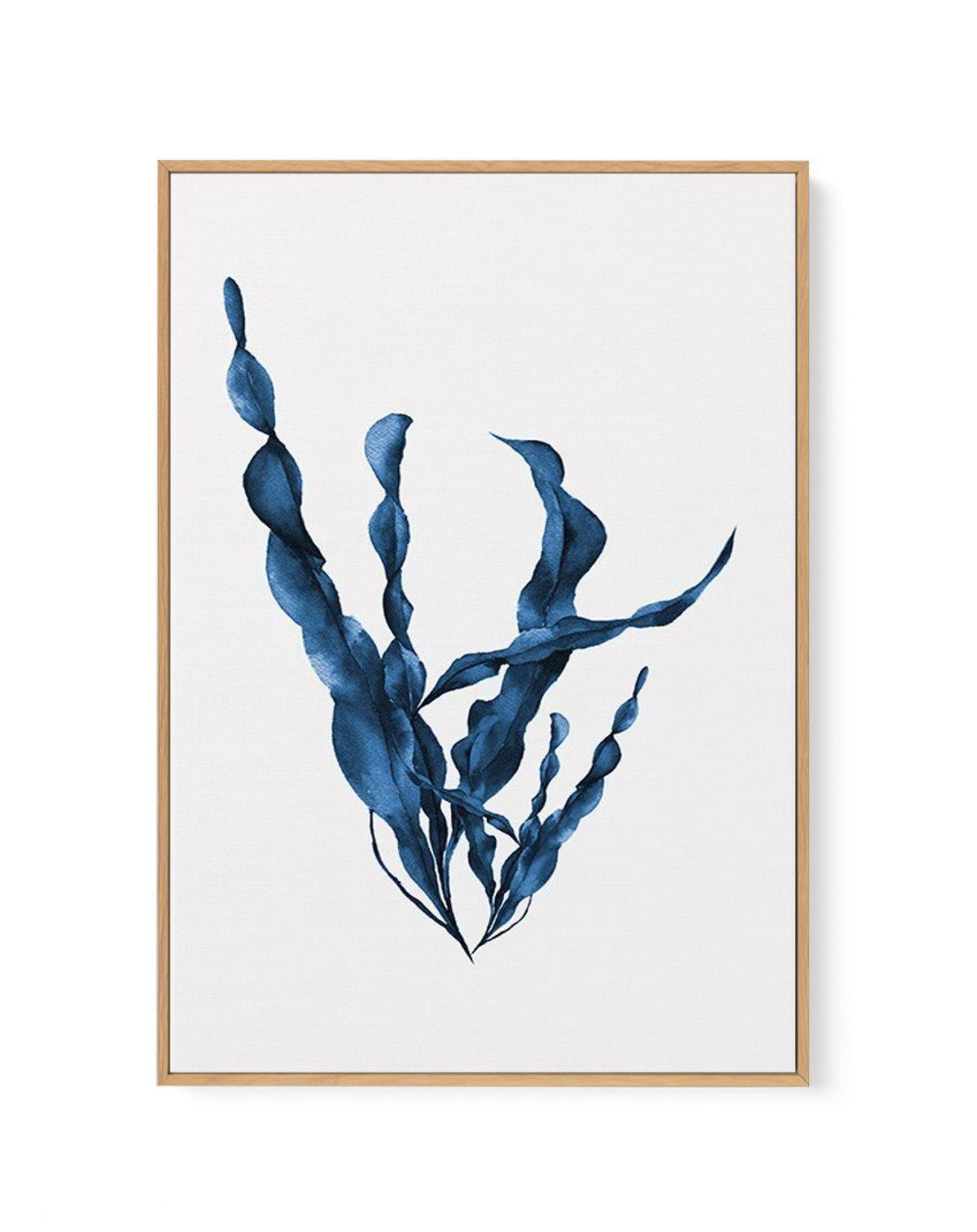 Sea Kelp IV | Framed Canvas-CANVAS-You can shop wall art online with Olive et Oriel for everything from abstract art to fun kids wall art. Our beautiful modern art prints and canvas art are available from large canvas prints to wall art paintings and our proudly Australian artwork collection offers only the highest quality framed large wall art and canvas art Australia - You can buy fashion photography prints or Hampton print posters and paintings on canvas from Olive et Oriel and have them deli