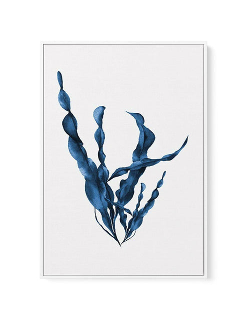 Sea Kelp IV | Framed Canvas-CANVAS-You can shop wall art online with Olive et Oriel for everything from abstract art to fun kids wall art. Our beautiful modern art prints and canvas art are available from large canvas prints to wall art paintings and our proudly Australian artwork collection offers only the highest quality framed large wall art and canvas art Australia - You can buy fashion photography prints or Hampton print posters and paintings on canvas from Olive et Oriel and have them deli