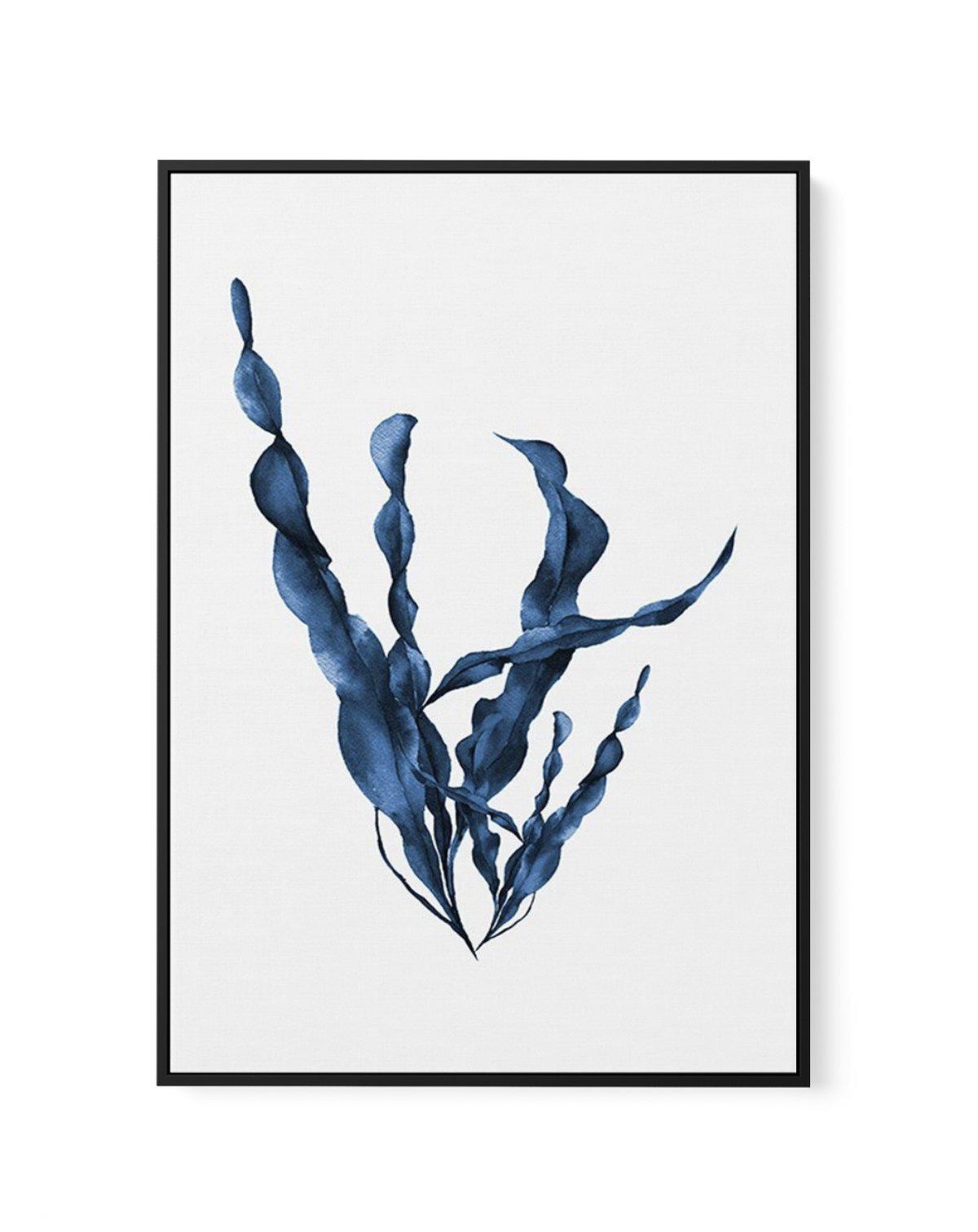 Sea Kelp IV | Framed Canvas-CANVAS-You can shop wall art online with Olive et Oriel for everything from abstract art to fun kids wall art. Our beautiful modern art prints and canvas art are available from large canvas prints to wall art paintings and our proudly Australian artwork collection offers only the highest quality framed large wall art and canvas art Australia - You can buy fashion photography prints or Hampton print posters and paintings on canvas from Olive et Oriel and have them deli