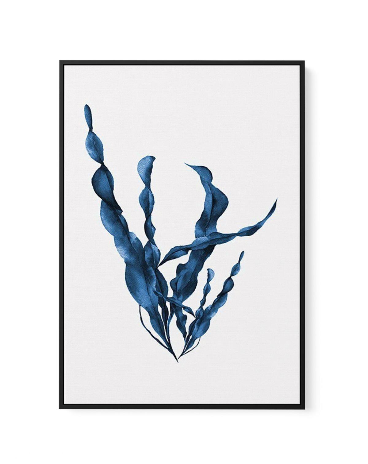 Sea Kelp IV | Framed Canvas-CANVAS-You can shop wall art online with Olive et Oriel for everything from abstract art to fun kids wall art. Our beautiful modern art prints and canvas art are available from large canvas prints to wall art paintings and our proudly Australian artwork collection offers only the highest quality framed large wall art and canvas art Australia - You can buy fashion photography prints or Hampton print posters and paintings on canvas from Olive et Oriel and have them deli