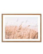 Seagrass In The Wind I | LS Art Print-PRINT-Olive et Oriel-Olive et Oriel-50x70 cm | 19.6" x 27.5"-Walnut-With White Border-Buy-Australian-Art-Prints-Online-with-Olive-et-Oriel-Your-Artwork-Specialists-Austrailia-Decorate-With-Coastal-Photo-Wall-Art-Prints-From-Our-Beach-House-Artwork-Collection-Fine-Poster-and-Framed-Artwork