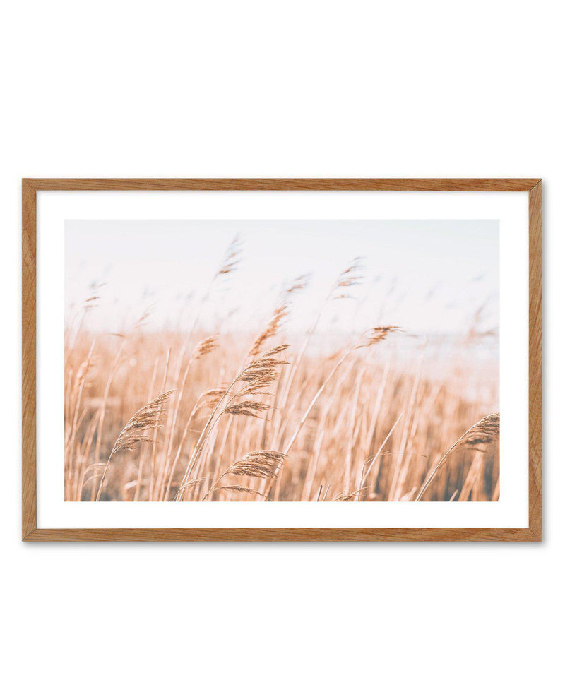 Seagrass In The Wind I | LS Art Print-PRINT-Olive et Oriel-Olive et Oriel-50x70 cm | 19.6" x 27.5"-Walnut-With White Border-Buy-Australian-Art-Prints-Online-with-Olive-et-Oriel-Your-Artwork-Specialists-Austrailia-Decorate-With-Coastal-Photo-Wall-Art-Prints-From-Our-Beach-House-Artwork-Collection-Fine-Poster-and-Framed-Artwork