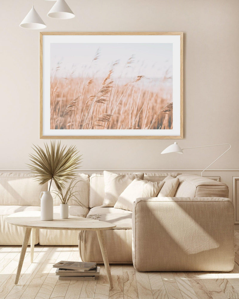 Seagrass In The Wind I | LS Art Print-PRINT-Olive et Oriel-Olive et Oriel-Buy-Australian-Art-Prints-Online-with-Olive-et-Oriel-Your-Artwork-Specialists-Austrailia-Decorate-With-Coastal-Photo-Wall-Art-Prints-From-Our-Beach-House-Artwork-Collection-Fine-Poster-and-Framed-Artwork