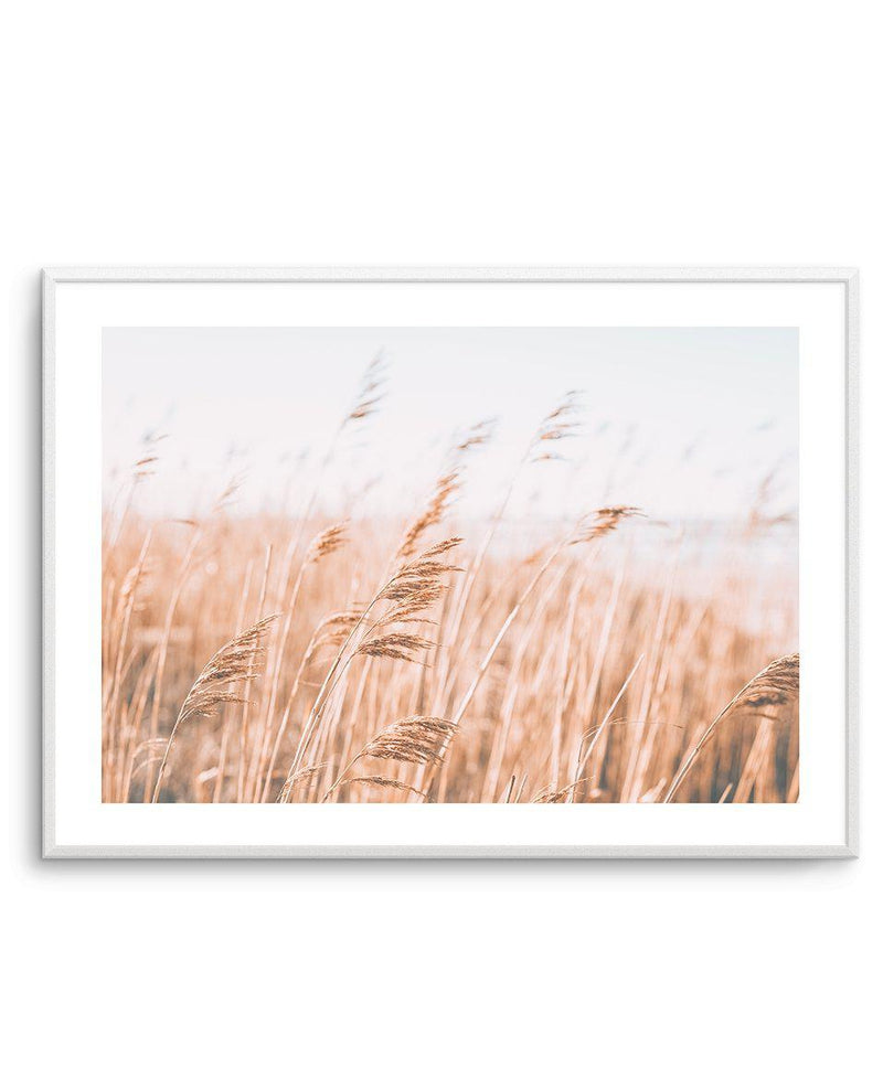 Seagrass In The Wind I | LS Art Print-PRINT-Olive et Oriel-Olive et Oriel-A5 | 5.8" x 8.3" | 14.8 x 21cm-Unframed Art Print-With White Border-Buy-Australian-Art-Prints-Online-with-Olive-et-Oriel-Your-Artwork-Specialists-Austrailia-Decorate-With-Coastal-Photo-Wall-Art-Prints-From-Our-Beach-House-Artwork-Collection-Fine-Poster-and-Framed-Artwork