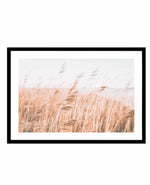 Seagrass In The Wind I | LS Art Print-PRINT-Olive et Oriel-Olive et Oriel-A5 | 5.8" x 8.3" | 14.8 x 21cm-Black-With White Border-Buy-Australian-Art-Prints-Online-with-Olive-et-Oriel-Your-Artwork-Specialists-Austrailia-Decorate-With-Coastal-Photo-Wall-Art-Prints-From-Our-Beach-House-Artwork-Collection-Fine-Poster-and-Framed-Artwork