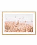 Seagrass In The Wind I | LS Art Print-PRINT-Olive et Oriel-Olive et Oriel-A5 | 5.8" x 8.3" | 14.8 x 21cm-Oak-With White Border-Buy-Australian-Art-Prints-Online-with-Olive-et-Oriel-Your-Artwork-Specialists-Austrailia-Decorate-With-Coastal-Photo-Wall-Art-Prints-From-Our-Beach-House-Artwork-Collection-Fine-Poster-and-Framed-Artwork