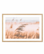 Seagrass In The Wind II | LS Art Print-PRINT-Olive et Oriel-Olive et Oriel-A5 | 5.8" x 8.3" | 14.8 x 21cm-Oak-With White Border-Buy-Australian-Art-Prints-Online-with-Olive-et-Oriel-Your-Artwork-Specialists-Austrailia-Decorate-With-Coastal-Photo-Wall-Art-Prints-From-Our-Beach-House-Artwork-Collection-Fine-Poster-and-Framed-Artwork