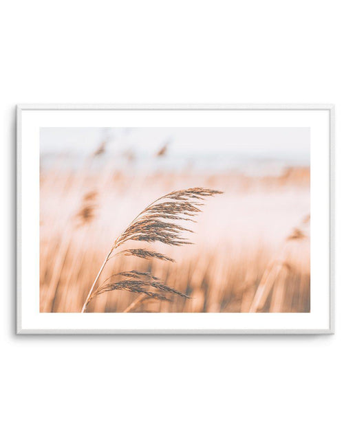 Seagrass In The Wind II | LS Art Print-PRINT-Olive et Oriel-Olive et Oriel-A5 | 5.8" x 8.3" | 14.8 x 21cm-Unframed Art Print-With White Border-Buy-Australian-Art-Prints-Online-with-Olive-et-Oriel-Your-Artwork-Specialists-Austrailia-Decorate-With-Coastal-Photo-Wall-Art-Prints-From-Our-Beach-House-Artwork-Collection-Fine-Poster-and-Framed-Artwork