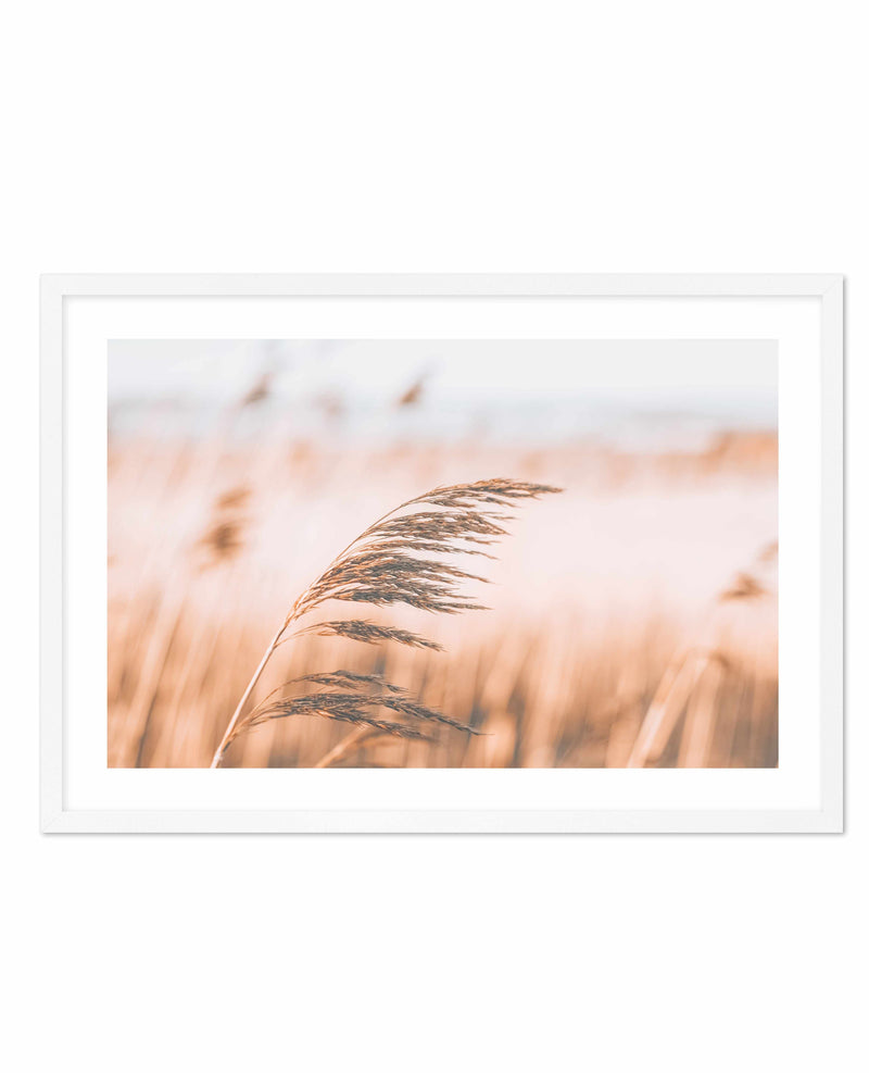 Seagrass In The Wind II | LS Art Print-PRINT-Olive et Oriel-Olive et Oriel-A5 | 5.8" x 8.3" | 14.8 x 21cm-White-With White Border-Buy-Australian-Art-Prints-Online-with-Olive-et-Oriel-Your-Artwork-Specialists-Austrailia-Decorate-With-Coastal-Photo-Wall-Art-Prints-From-Our-Beach-House-Artwork-Collection-Fine-Poster-and-Framed-Artwork