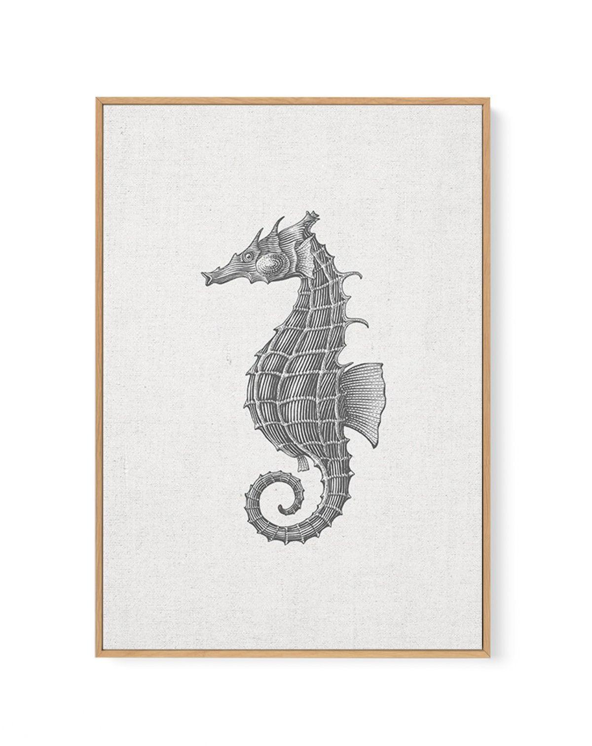 Seahorse on Linen | Framed Canvas-CANVAS-You can shop wall art online with Olive et Oriel for everything from abstract art to fun kids wall art. Our beautiful modern art prints and canvas art are available from large canvas prints to wall art paintings and our proudly Australian artwork collection offers only the highest quality framed large wall art and canvas art Australia - You can buy fashion photography prints or Hampton print posters and paintings on canvas from Olive et Oriel and have the