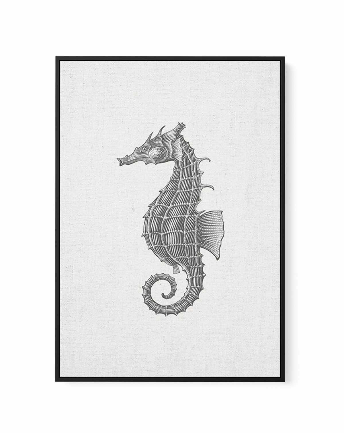 Seahorse on Linen | Framed Canvas-CANVAS-You can shop wall art online with Olive et Oriel for everything from abstract art to fun kids wall art. Our beautiful modern art prints and canvas art are available from large canvas prints to wall art paintings and our proudly Australian artwork collection offers only the highest quality framed large wall art and canvas art Australia - You can buy fashion photography prints or Hampton print posters and paintings on canvas from Olive et Oriel and have the