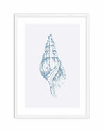 Seashell | Atlantic Triton Art Print-PRINT-Olive et Oriel-Olive et Oriel-A5 | 5.8" x 8.3" | 14.8 x 21cm-White-With White Border-Buy-Australian-Art-Prints-Online-with-Olive-et-Oriel-Your-Artwork-Specialists-Austrailia-Decorate-With-Coastal-Photo-Wall-Art-Prints-From-Our-Beach-House-Artwork-Collection-Fine-Poster-and-Framed-Artwork