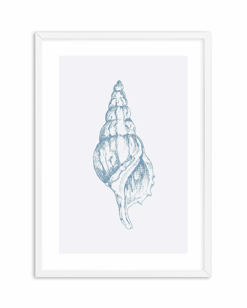Seashell | Atlantic Triton Art Print-PRINT-Olive et Oriel-Olive et Oriel-A5 | 5.8" x 8.3" | 14.8 x 21cm-White-With White Border-Buy-Australian-Art-Prints-Online-with-Olive-et-Oriel-Your-Artwork-Specialists-Austrailia-Decorate-With-Coastal-Photo-Wall-Art-Prints-From-Our-Beach-House-Artwork-Collection-Fine-Poster-and-Framed-Artwork