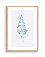 Seashell | Atlantic Triton Art Print-PRINT-Olive et Oriel-Olive et Oriel-A5 | 5.8" x 8.3" | 14.8 x 21cm-Oak-With White Border-Buy-Australian-Art-Prints-Online-with-Olive-et-Oriel-Your-Artwork-Specialists-Austrailia-Decorate-With-Coastal-Photo-Wall-Art-Prints-From-Our-Beach-House-Artwork-Collection-Fine-Poster-and-Framed-Artwork