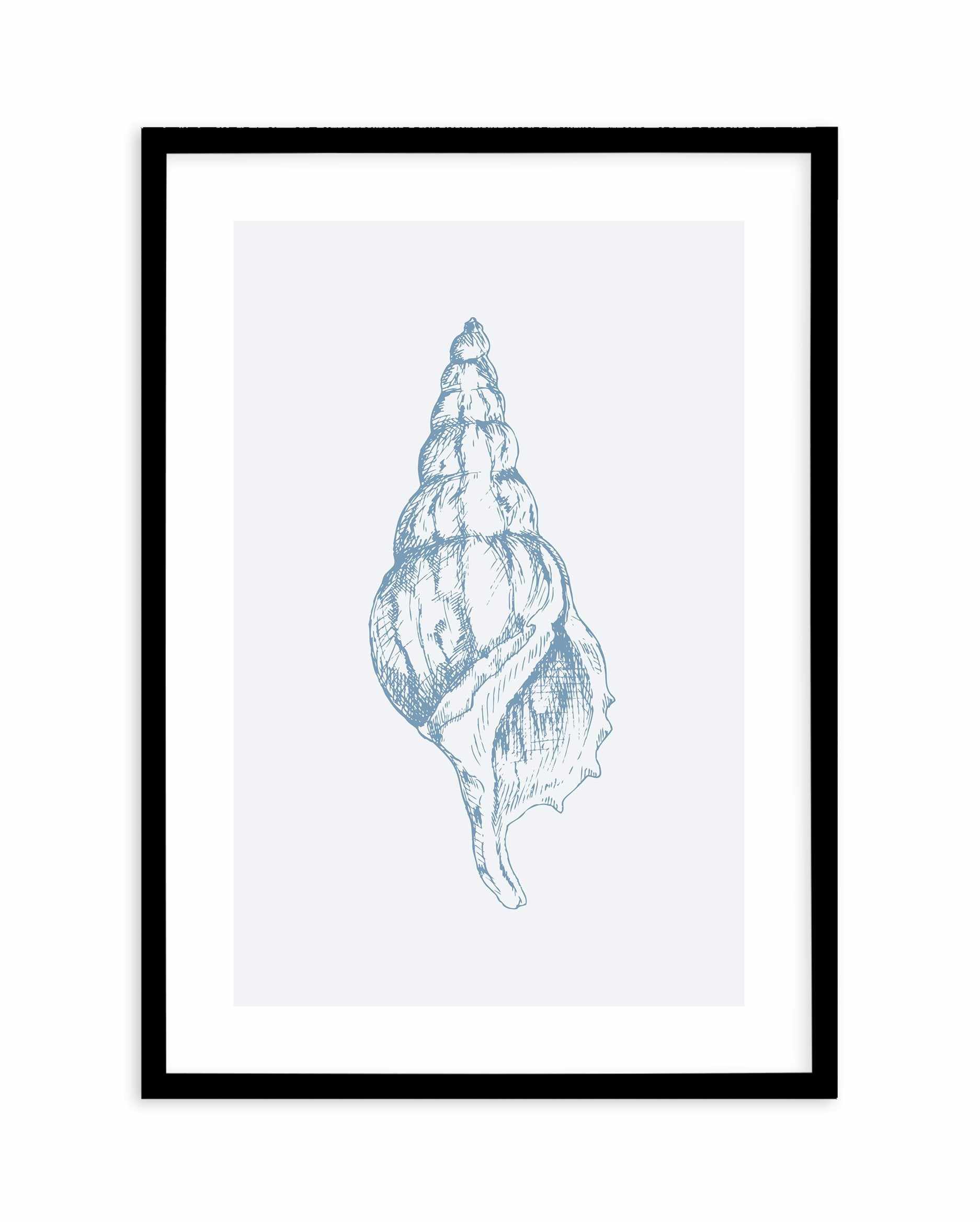 Seashell | Atlantic Triton Art Print-PRINT-Olive et Oriel-Olive et Oriel-A5 | 5.8" x 8.3" | 14.8 x 21cm-Black-With White Border-Buy-Australian-Art-Prints-Online-with-Olive-et-Oriel-Your-Artwork-Specialists-Austrailia-Decorate-With-Coastal-Photo-Wall-Art-Prints-From-Our-Beach-House-Artwork-Collection-Fine-Poster-and-Framed-Artwork