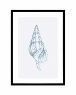 Seashell | Atlantic Triton Art Print-PRINT-Olive et Oriel-Olive et Oriel-A5 | 5.8" x 8.3" | 14.8 x 21cm-Black-With White Border-Buy-Australian-Art-Prints-Online-with-Olive-et-Oriel-Your-Artwork-Specialists-Austrailia-Decorate-With-Coastal-Photo-Wall-Art-Prints-From-Our-Beach-House-Artwork-Collection-Fine-Poster-and-Framed-Artwork