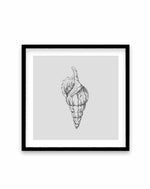 Seashell | Atlantic Triton SQ Art Print-PRINT-Olive et Oriel-Olive et Oriel-70x70 cm | 27.5" x 27.5"-Black-With White Border-Buy-Australian-Art-Prints-Online-with-Olive-et-Oriel-Your-Artwork-Specialists-Austrailia-Decorate-With-Coastal-Photo-Wall-Art-Prints-From-Our-Beach-House-Artwork-Collection-Fine-Poster-and-Framed-Artwork
