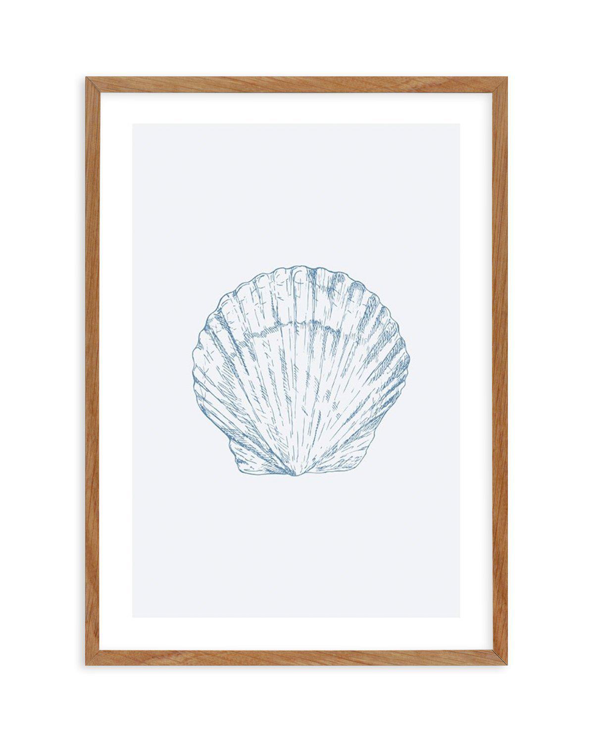 Seashell | Bay Scallop Art Print-PRINT-Olive et Oriel-Olive et Oriel-50x70 cm | 19.6" x 27.5"-Walnut-With White Border-Buy-Australian-Art-Prints-Online-with-Olive-et-Oriel-Your-Artwork-Specialists-Austrailia-Decorate-With-Coastal-Photo-Wall-Art-Prints-From-Our-Beach-House-Artwork-Collection-Fine-Poster-and-Framed-Artwork