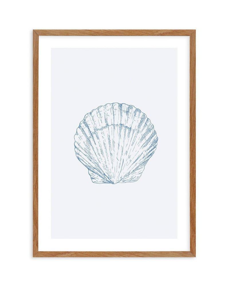 Seashell | Bay Scallop Art Print-PRINT-Olive et Oriel-Olive et Oriel-50x70 cm | 19.6" x 27.5"-Walnut-With White Border-Buy-Australian-Art-Prints-Online-with-Olive-et-Oriel-Your-Artwork-Specialists-Austrailia-Decorate-With-Coastal-Photo-Wall-Art-Prints-From-Our-Beach-House-Artwork-Collection-Fine-Poster-and-Framed-Artwork