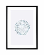 Seashell | Bay Scallop Art Print-PRINT-Olive et Oriel-Olive et Oriel-A5 | 5.8" x 8.3" | 14.8 x 21cm-Black-With White Border-Buy-Australian-Art-Prints-Online-with-Olive-et-Oriel-Your-Artwork-Specialists-Austrailia-Decorate-With-Coastal-Photo-Wall-Art-Prints-From-Our-Beach-House-Artwork-Collection-Fine-Poster-and-Framed-Artwork
