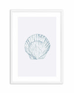 Seashell | Bay Scallop Art Print-PRINT-Olive et Oriel-Olive et Oriel-A5 | 5.8" x 8.3" | 14.8 x 21cm-White-With White Border-Buy-Australian-Art-Prints-Online-with-Olive-et-Oriel-Your-Artwork-Specialists-Austrailia-Decorate-With-Coastal-Photo-Wall-Art-Prints-From-Our-Beach-House-Artwork-Collection-Fine-Poster-and-Framed-Artwork