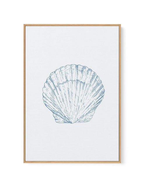 Seashell | Bay Scallop | Framed Canvas-CANVAS-You can shop wall art online with Olive et Oriel for everything from abstract art to fun kids wall art. Our beautiful modern art prints and canvas art are available from large canvas prints to wall art paintings and our proudly Australian artwork collection offers only the highest quality framed large wall art and canvas art Australia - You can buy fashion photography prints or Hampton print posters and paintings on canvas from Olive et Oriel and hav