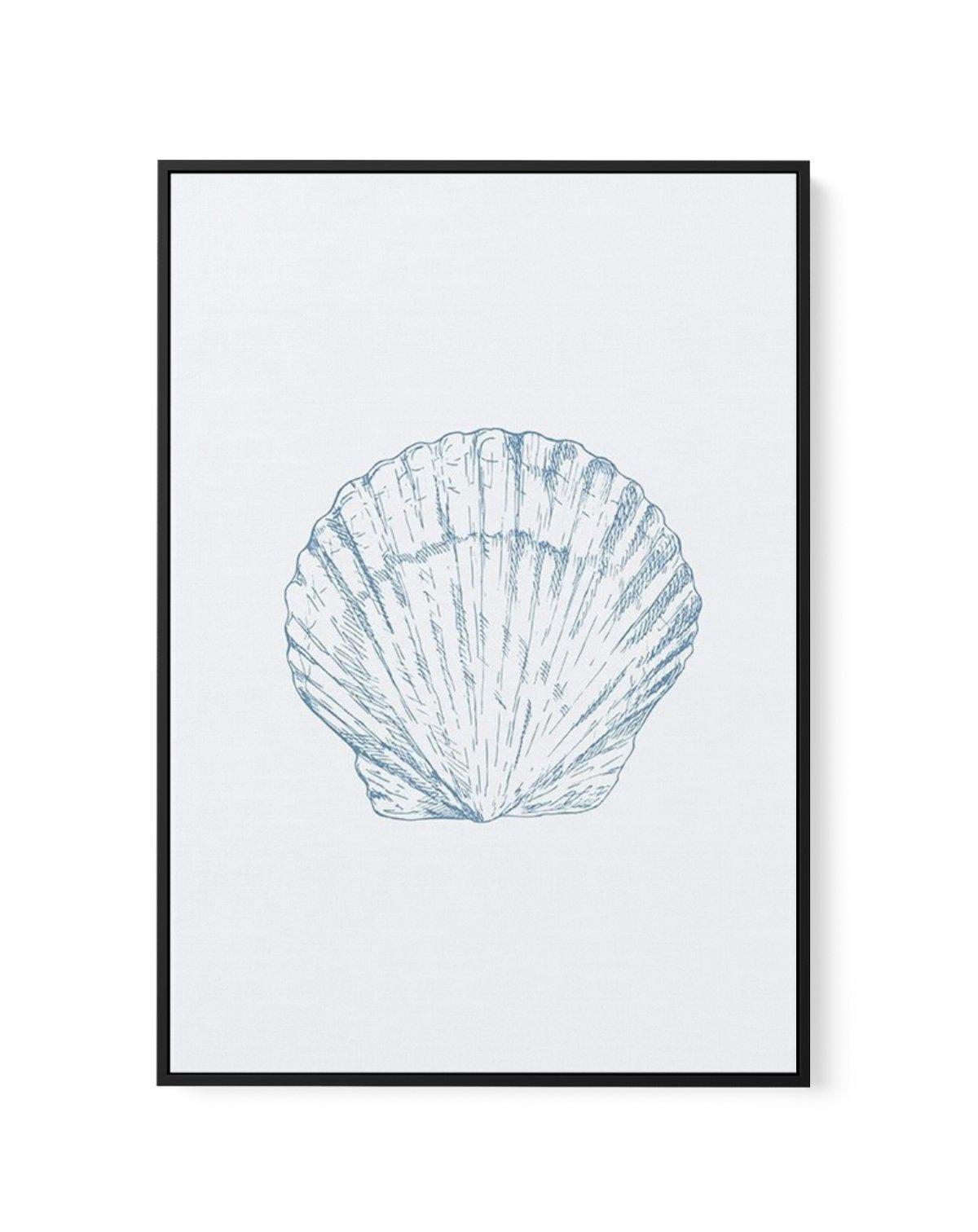 Seashell | Bay Scallop | Framed Canvas-CANVAS-You can shop wall art online with Olive et Oriel for everything from abstract art to fun kids wall art. Our beautiful modern art prints and canvas art are available from large canvas prints to wall art paintings and our proudly Australian artwork collection offers only the highest quality framed large wall art and canvas art Australia - You can buy fashion photography prints or Hampton print posters and paintings on canvas from Olive et Oriel and hav