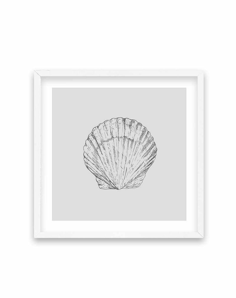 Seashell | Bay Scallop SQ Art Print-PRINT-Olive et Oriel-Olive et Oriel-70x70 cm | 27.5" x 27.5"-White-With White Border-Buy-Australian-Art-Prints-Online-with-Olive-et-Oriel-Your-Artwork-Specialists-Austrailia-Decorate-With-Coastal-Photo-Wall-Art-Prints-From-Our-Beach-House-Artwork-Collection-Fine-Poster-and-Framed-Artwork