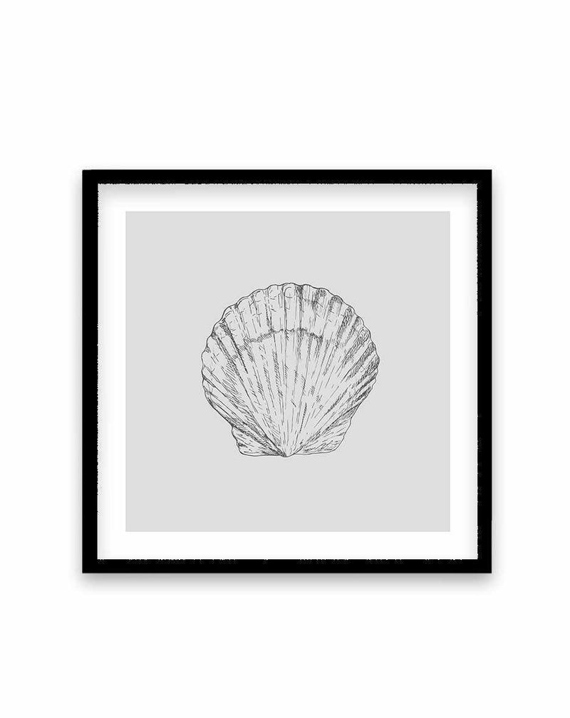 Seashell | Bay Scallop SQ Art Print-PRINT-Olive et Oriel-Olive et Oriel-70x70 cm | 27.5" x 27.5"-Black-With White Border-Buy-Australian-Art-Prints-Online-with-Olive-et-Oriel-Your-Artwork-Specialists-Austrailia-Decorate-With-Coastal-Photo-Wall-Art-Prints-From-Our-Beach-House-Artwork-Collection-Fine-Poster-and-Framed-Artwork