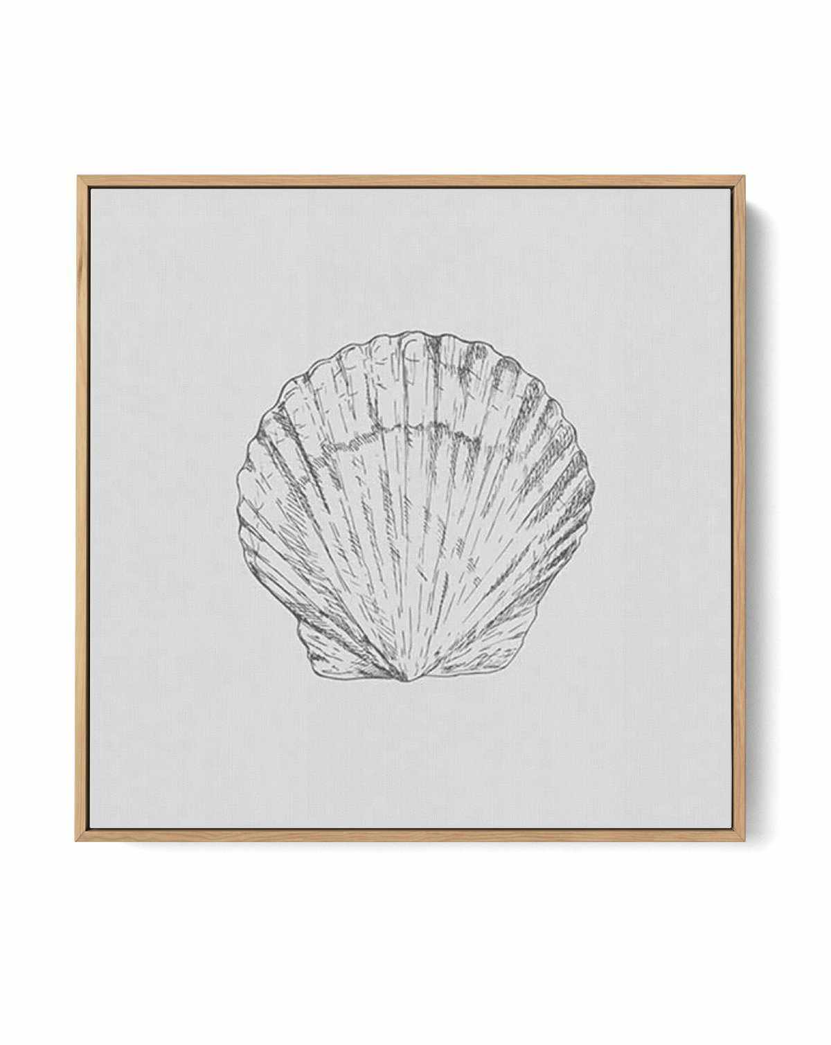 Seashell | Bay Scallop SQ | Framed Canvas-CANVAS-You can shop wall art online with Olive et Oriel for everything from abstract art to fun kids wall art. Our beautiful modern art prints and canvas art are available from large canvas prints to wall art paintings and our proudly Australian artwork collection offers only the highest quality framed large wall art and canvas art Australia - You can buy fashion photography prints or Hampton print posters and paintings on canvas from Olive et Oriel and 